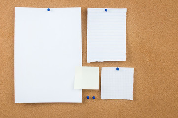 Corkboard and note papers