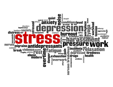 "STRESS" Tag Cloud (anxiety depression insomnia noise workplace)