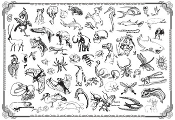Collection of animals