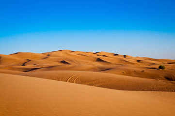 sandy desert