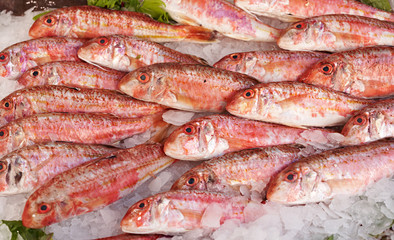 Red mullet fish for sale - 39050425