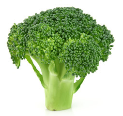 Branch of broccoli