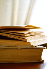 Window and the book