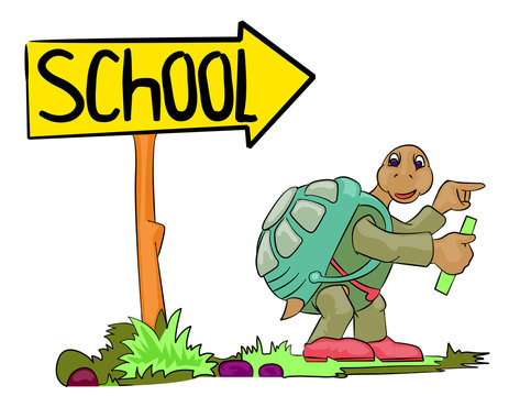 turtle go to school