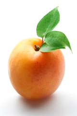 Apricot with leaves on a white background.