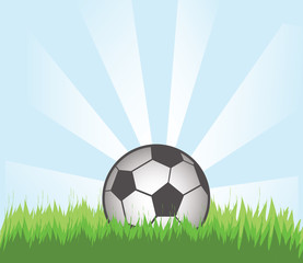 Naklejka premium Soccer Ball