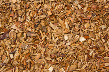 Natural Carpet of Wood Chips