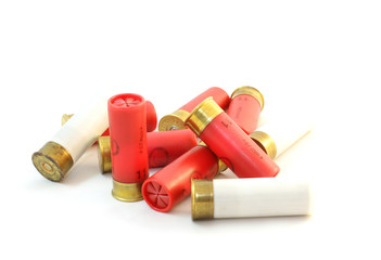 shotgun cartridges 11 isolated