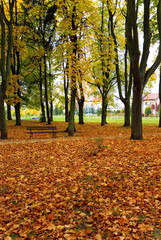 Autumn Park in Poland