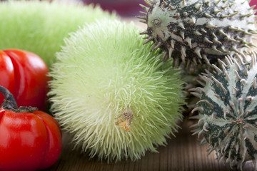 Spiky Cucumber