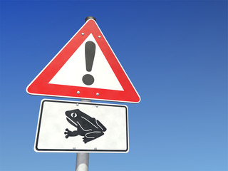 Krötenwanderung