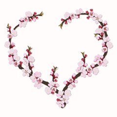 Branch of apricot flowers in the shape of heart