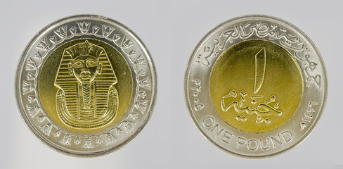 Egyptian coin