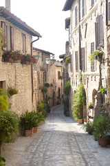 Spello, old street