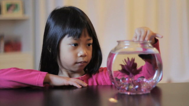 Asian Girl Feeds Her Red Betta Fish