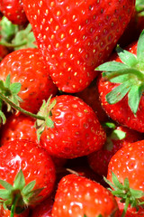 Strawberry Fresh Appetizing Of Thailand