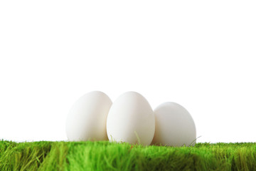 White eggs on green grass
