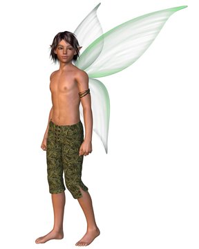 Fairy Boy with green gossamer wings