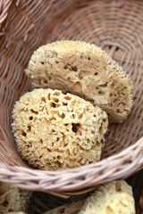 sponges in basket