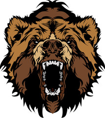 Grizzly Bear Mascot Head Vector Graphic