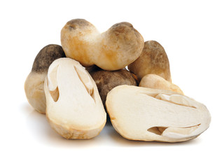 Mushroom on white background