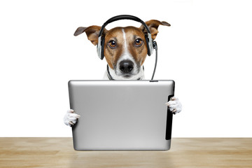 dog with headset and tablet pc