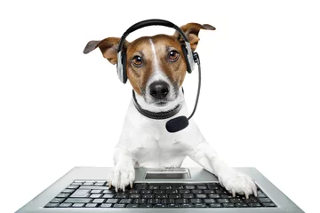 Crédence de cuisine en verre imprimé Chien fou dog with headset using a laptop