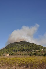 Waldbrand auf Mallorca