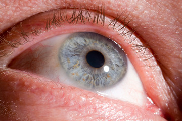 eye macro.