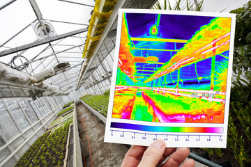 thermal imaging of a greenhouse in winter