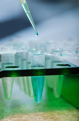 molecular biology