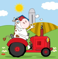 Papier Peint photo Ferme Fermier de vache heureux dans le tracteur rouge agitant un message d& 39 accueil sur sa ferme
