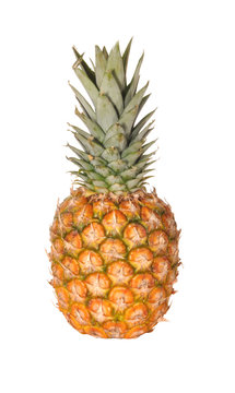 Pineapple a fruit