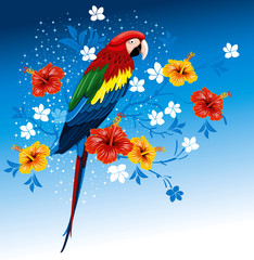 Parrot and tropical flowers