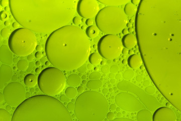 Green cells..