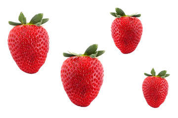 Erdbeeren