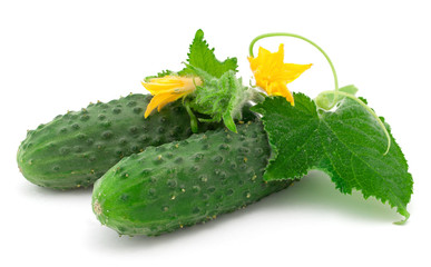 cucumbers with the leaves on white