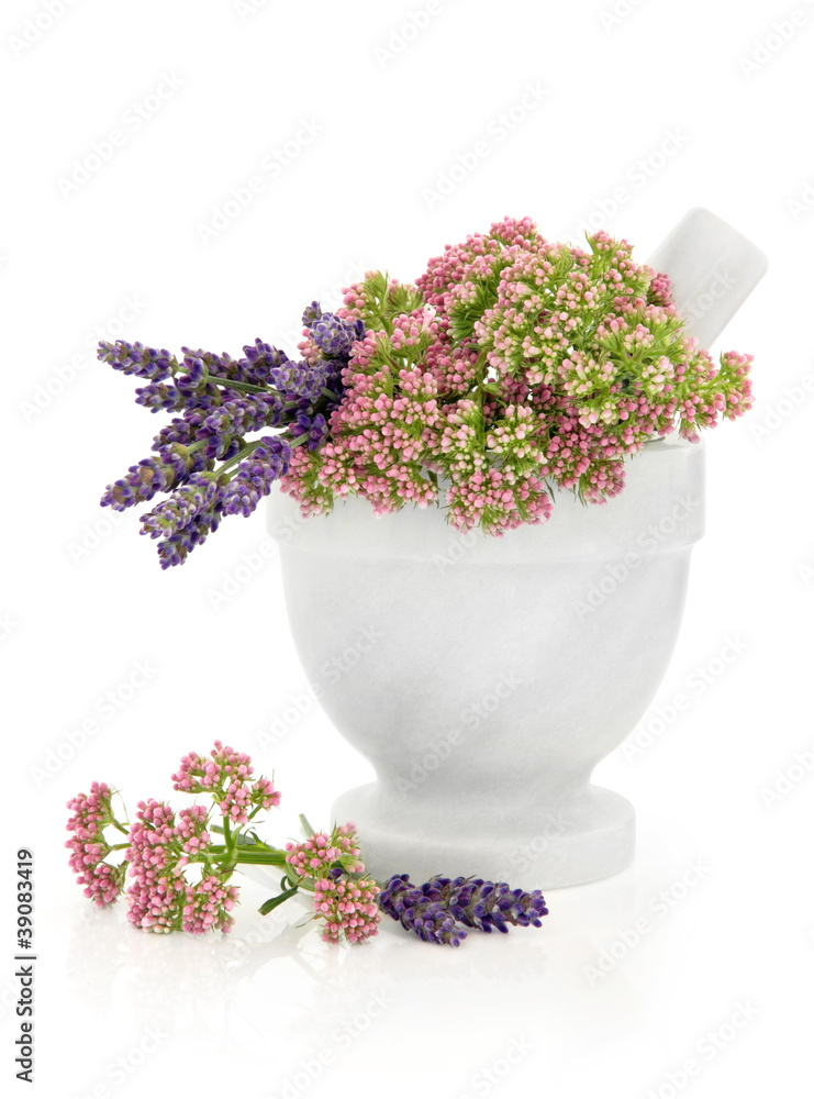 Canvas Prints valerian and lavender herb flowers