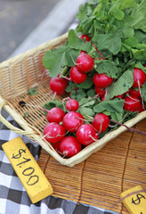 radishes in basket