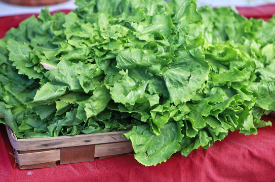 lettuce in basket