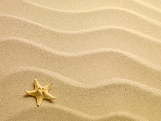 Fototapeta na wymiar Starfish z piasku jako tło