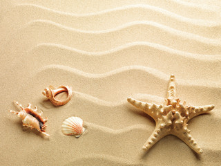 Fototapeta na wymiar starfish with sand as background