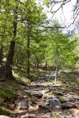 Site of the égorgeou, the park of Queyras,  France
