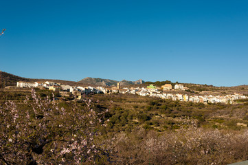 Tarbena