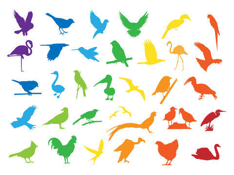 0603 Colorful Bird Silhouettes