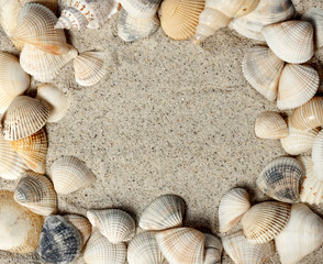 Holiday concept, seashell frame with copy space