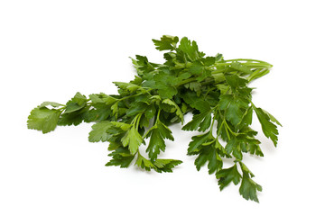 parsley isolated