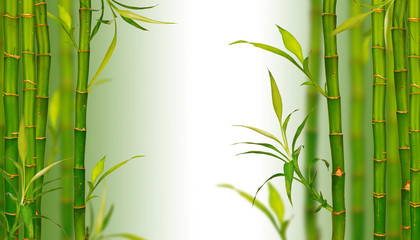 Obraz na płótnie Canvas Bamboo background spa