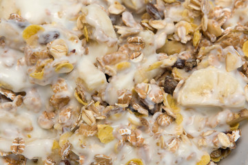 Muesli with yogurt and mango on a white plate