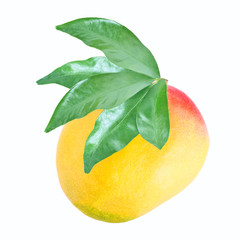 Fresh mango isolated on a white background